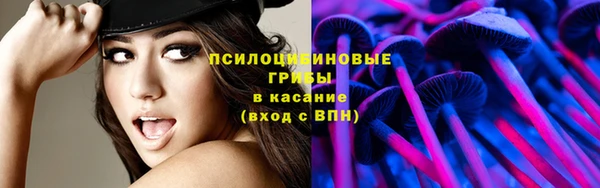 ALPHA PVP Верхний Тагил