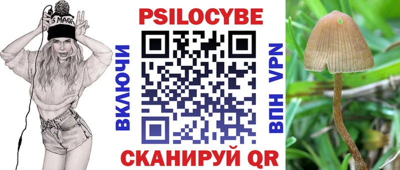 Псилоцибиновые грибы прущие грибы  наркошоп  ссылка на мегу как зайти  Ленинградская 