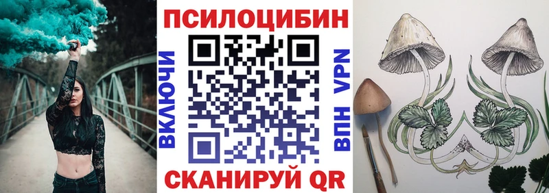 Галлюциногенные грибы Psilocybe Ленинградская